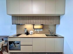 The Avenir (D9), Condominium #517873091